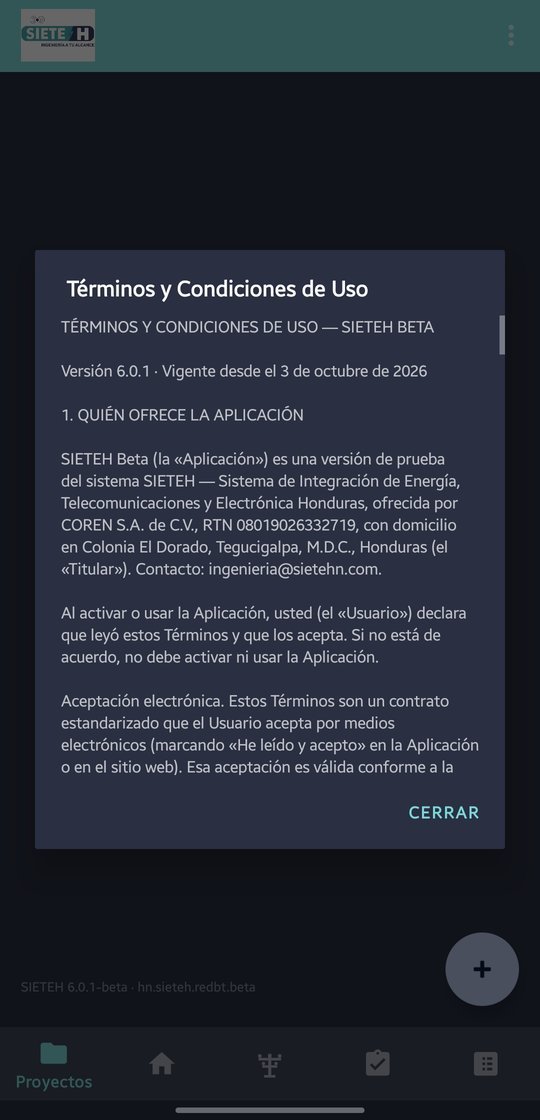 Términos y Condiciones de Uso en modo lectura, con el botón Cerrar